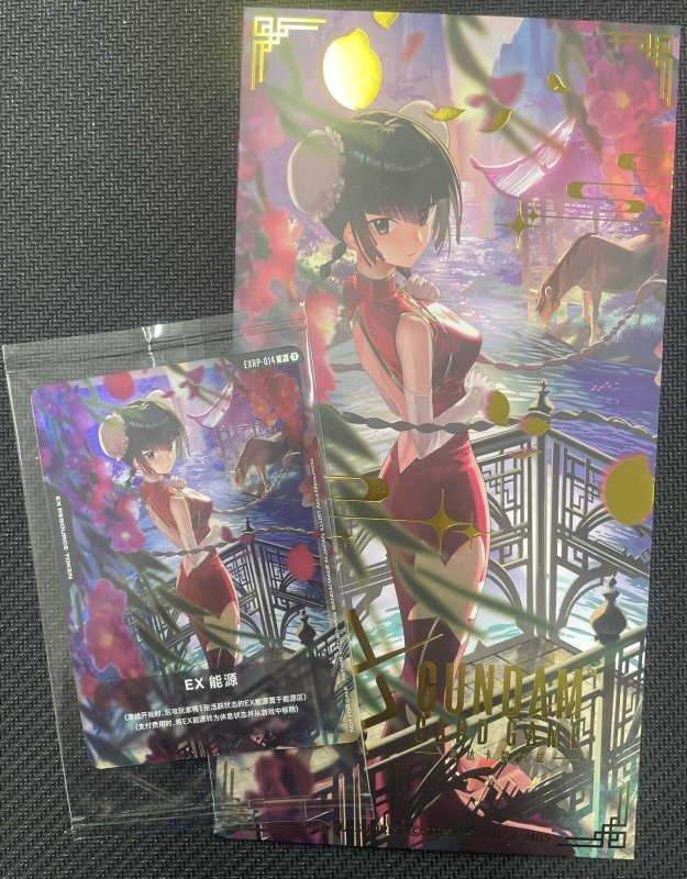 画像1: リソース【中国語版EXリソース〈王留美〉】/P【-】《EX RESOURCE》 (1)