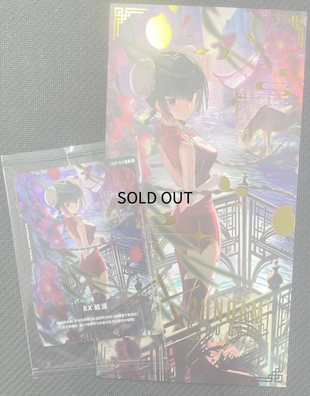 画像1: リソース【中国語版EXリソース〈王留美〉】/P【-】《EX RESOURCE》 (1)