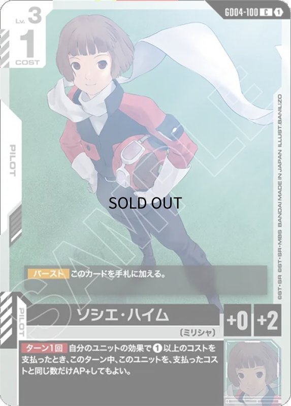 画像1: ソシエ・ハイム/C【白】《PILOT》 (1)